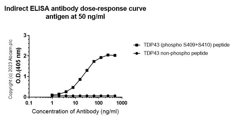 Indirect ELISA - Anti-TDP43 (phospho S409 + pS410) antibody [EPR24512-120] (AB314299)