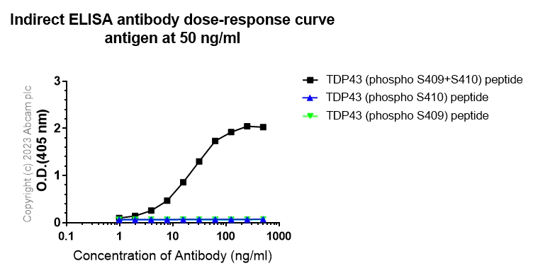 Indirect ELISA - Anti-TDP43 (phospho S409 + pS410) antibody [EPR24512-120] (AB314299)