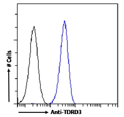 Flow Cytometry (Intracellular) - Anti-TDRD3 antibody [RAB-C419] (AB317727)