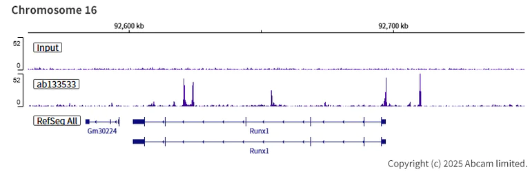 ChIP-sequencing - Anti-TEF1/TEAD-1 antibody [EPR3967(2)] (AB133533)