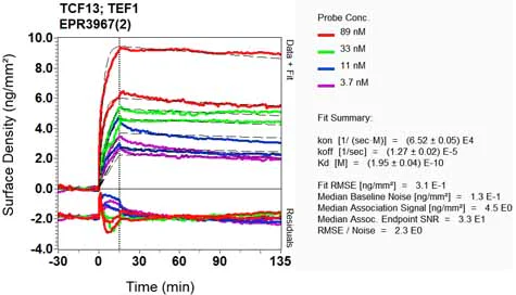 OI-RD Scanning - Anti-TEF1/TEAD-1 antibody [EPR3967(2)] (AB133533)
