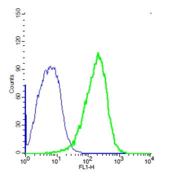 Flow Cytometry - Anti-TEM1 antibody (AB217535)