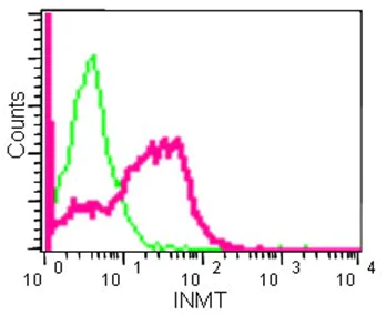Flow Cytometry (Intracellular) - Anti-TEMT antibody [EPR13240] - BSA and Azide free (AB250525)