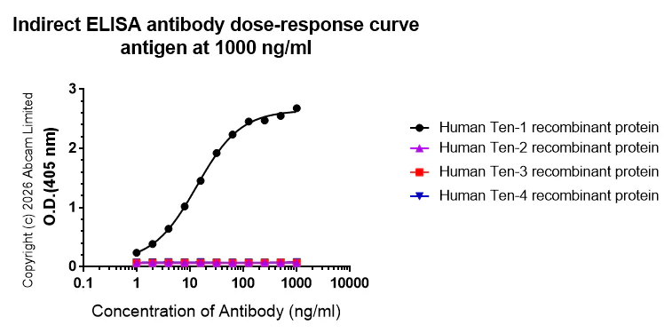 Indirect ELISA - Anti-Ten-1 antibody [EPR29567-15] - C-terminal (AB327382)