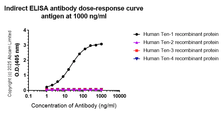 Indirect ELISA - Anti-Ten-1 antibody [EPR29567-35] - C-terminal (AB325392)