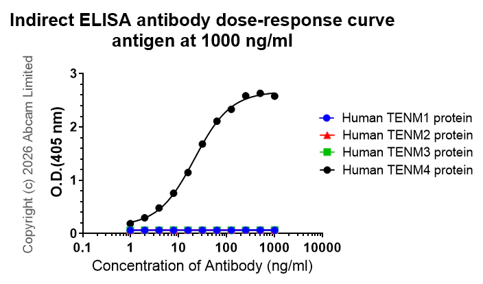 Indirect ELISA - Anti-Teneurin-4 antibody [EPR29569-515] - N-terminal (AB325755)
