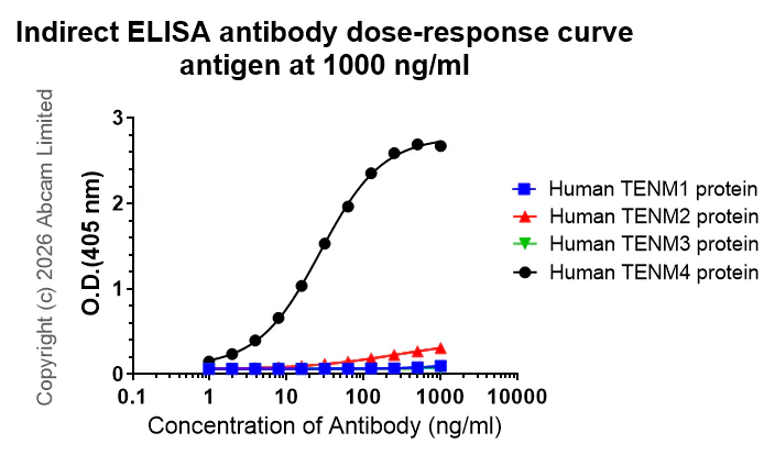 Indirect ELISA - Anti-Teneurin-4 antibody [EPR29569-564] - C-terminal (AB325683)