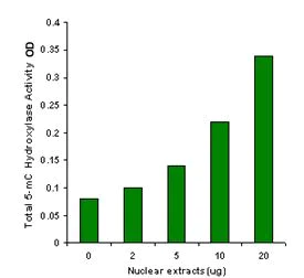 Functional Studies - TET Hydroxylase Activity Quantification Kit (Colorimetric) (AB156912)