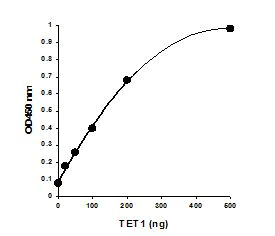 Functional Studies - TET Hydroxylase Activity Quantification Kit (Colorimetric) (AB156912)