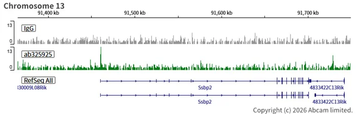 ChIC/CUT&RUN sequencing - Anti-TET1 antibody [EPR30558-579] (AB325925)
