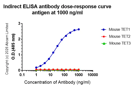 Indirect ELISA - Anti-TET1 antibody [EPR30558-579] (AB325925)