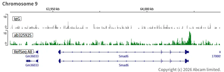 ChIC/CUT&RUN sequencing - Anti-TET1 antibody [EPR30558-579] - BSA and Azide free (AB325941)