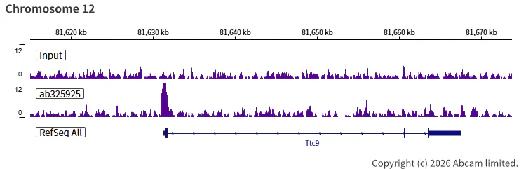 ChIP-sequencing - Anti-TET1 antibody [EPR30558-579] - BSA and Azide free (AB325941)