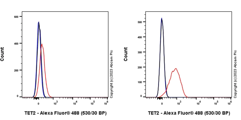Flow Cytometry (Intracellular) - Anti-TET2 antibody [EPR26694-93] - BSA and Azide free (AB309482)