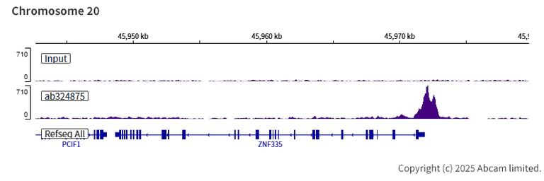 ChIP-sequencing - Anti-Tet2 antibody [EPR29630-29] (AB324875)