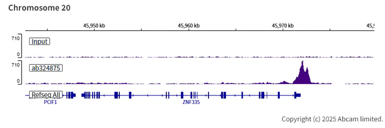 ChIP-sequencing - Anti-Tet2 antibody [EPR29630-29] - BSA and Azide free (AB328046)