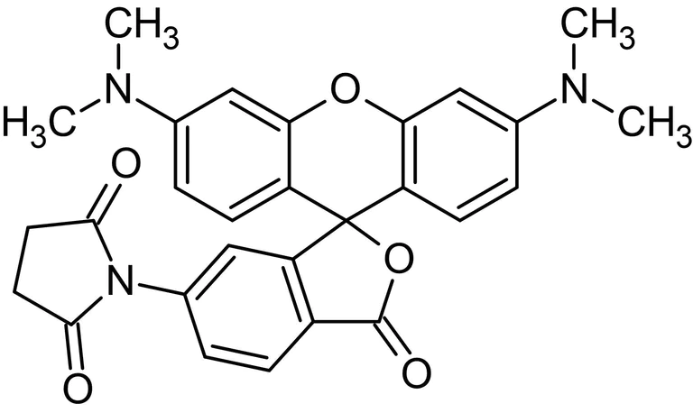 Chemical Structure - Tetramethylrhodamine-6-maleimide, Fluorescent reagent (AB145471)