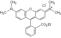 Chemical Structure - Tetramethylrhodamine, ethyl ester (AB274305)