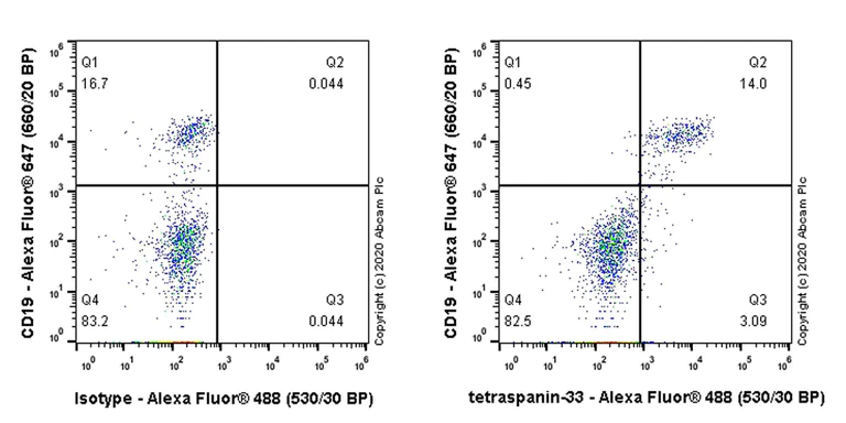 Flow Cytometry - Anti-Tetraspanin-33 antibody [EPR23121-146] - BSA and Azide free (AB272461)