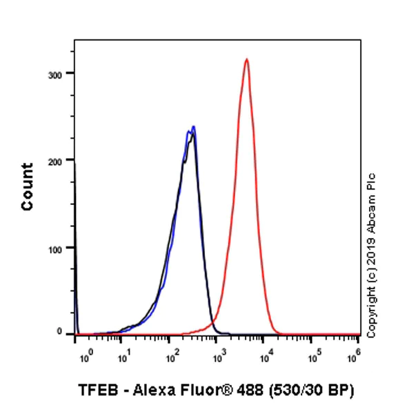 Flow Cytometry (Intracellular) - Anti-TFEB antibody [EPR22940-151] (AB270604)