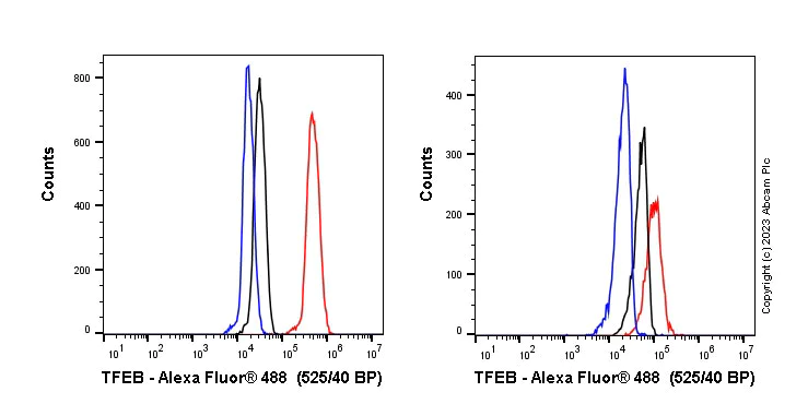 Flow Cytometry (Intracellular) - Anti-TFEB antibody [EPR22940-151] (AB270604)
