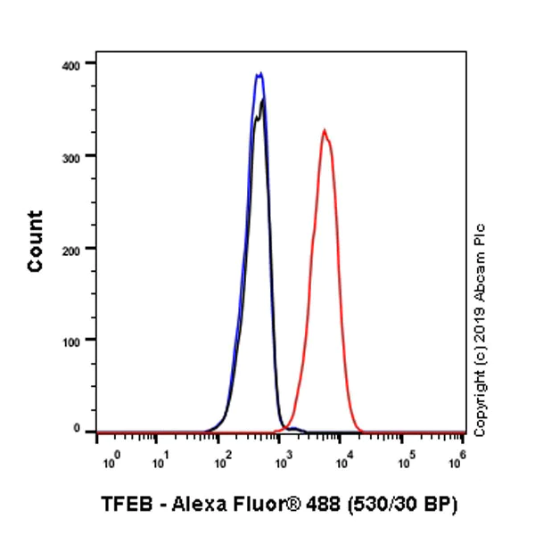 Flow Cytometry (Intracellular) - Anti-TFEB antibody [EPR22940-151] - BSA and Azide free (AB270614)
