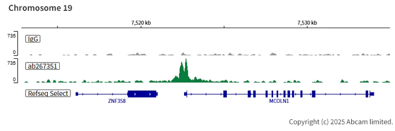 ChIC/CUT&RUN sequencing - Anti-TFEB antibody [EPR22941-6] (AB267351)