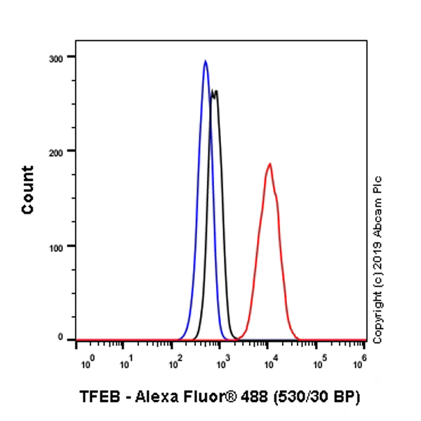 Flow Cytometry (Intracellular) - Anti-TFEB antibody [EPR22941-6] (ab267351), expandable thumbnail
