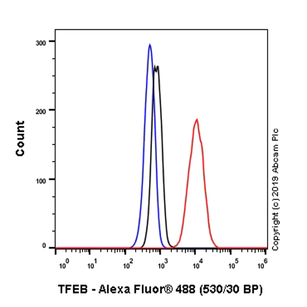 Flow Cytometry (Intracellular) - Anti-TFEB antibody [EPR22941-6] (AB267351)