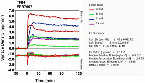 OI-RD Scanning - Anti-TFII I antibody [EPR7697] - BSA and Azide free (AB248269), expandable thumbnail