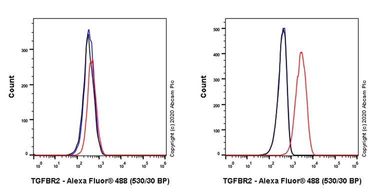 Flow Cytometry - Anti-TGF beta Receptor II antibody [EPR23237-2] - BSA and Azide free (AB270609)