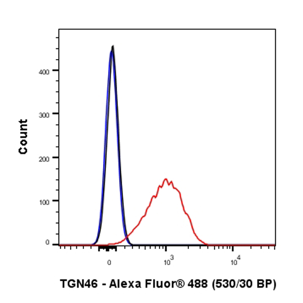 Flow Cytometry (Intracellular) - Anti-TGN46 antibody [EPR24770-16] - Golgi Marker (ab271183), expandable thumbnail