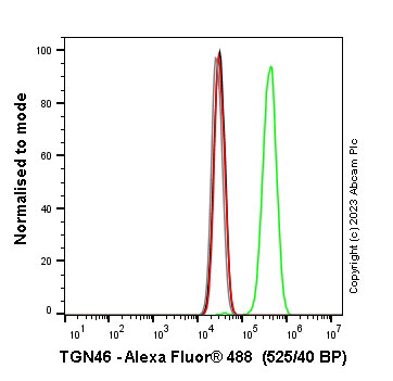 Flow Cytometry (Intracellular) - Anti-TGN46 antibody [EPR24770-16] - Golgi Marker (ab271183), expandable thumbnail