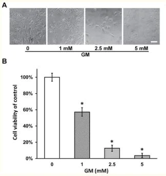 Functional Studies - Thiazolyl blue tetrazolium bromide (MTT), membrane-permeable dye (AB146345)