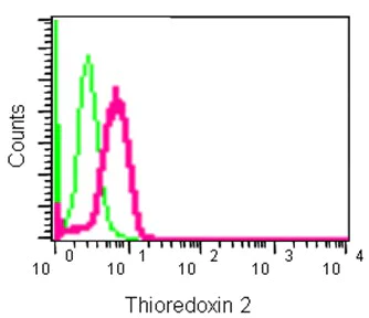 Flow Cytometry (Intracellular) - Anti-Thioredoxin 2 antibody [EPR15225] - BSA and Azide free (AB240292)