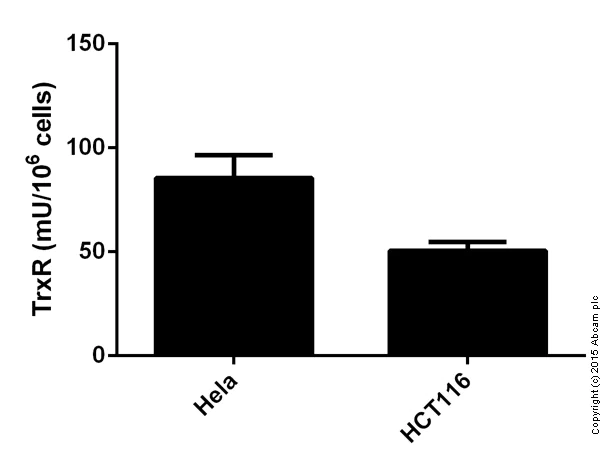 Thioredoxin Reductase Assay Kit (Colorimetric) (ab83463) | Abcam