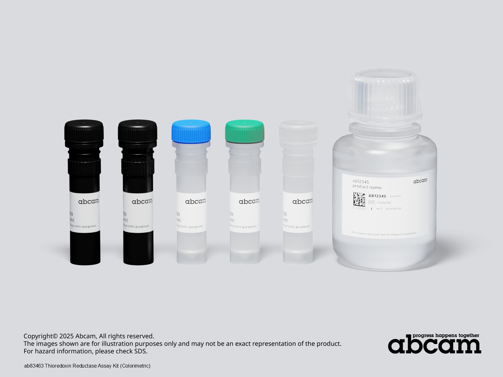 glutathione reductase assay protocol PDF) Assay for quantitative determination of glutathione and glutathione  disulfide levels using enzymatic recycling method main image 0