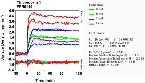 OI-RD Scanning - Anti-Thioredoxin / TRX antibody [EPR6110] - BSA and Azide free (AB240066)