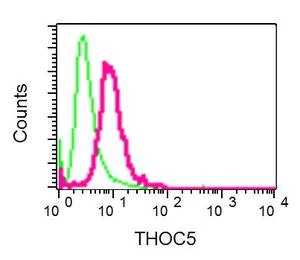 Flow Cytometry (Intracellular) - Anti-THOC5 antibody [EP6904] - BSA and Azide free (AB284812)