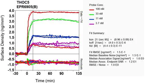 OI-RD Scanning - Anti-THOC5 antibody [EPR6905(B)] - BSA and Azide free (AB248089)