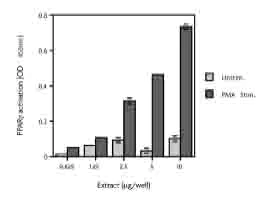 Functional Studies - THP-1 nuclear extract lysate (PMA stimulated) (AB14901)