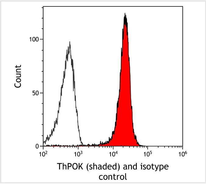 Flow Cytometry - Anti-ThPOK antibody [BLR191J] - BSA free (AB314067)