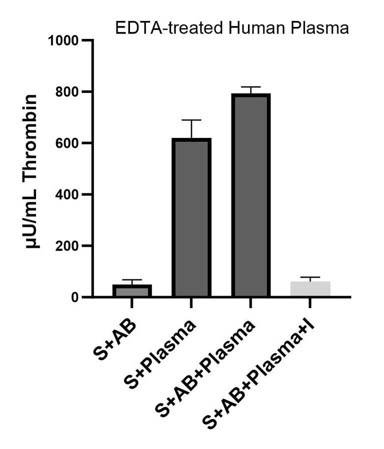 Functional Studies - Thrombin Activity Assay Kit (Fluorometric) (AB197006)