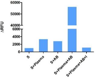 Functional Studies - Thrombin Inhibitor Screening Assay Kit (Fluorometric) (AB197007), expandable thumbnail
