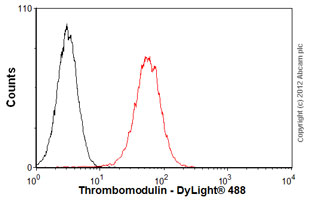 Flow Cytometry - Anti-Thrombomodulin antibody [PBS-02] (AB7640)