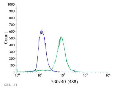 Flow Cytometry (Intracellular) - Anti-Thrombomodulin antibody [SP309] - BSA and Azide free (AB272018)