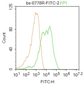 Flow Cytometry - Anti-Thy1.1 antibody (AB203022)