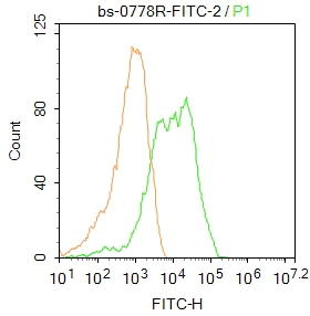 Flow Cytometry - Anti-Thy1.1 antibody (AB203022)