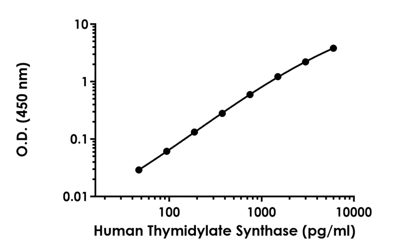 Sandwich ELISA - Anti-Thymidylate Synthase antibody [EPR24296-166] - BSA and Azide free (Detector) (AB279992)