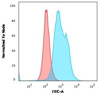 Flow Cytometry - Anti-Thymidylate Synthase antibody [TYMS/1884] (AB224649), expandable thumbnail